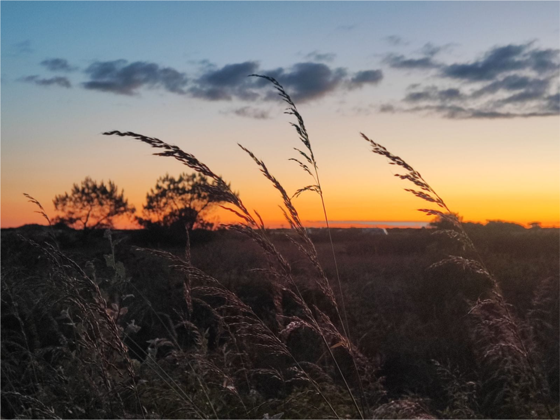 Camping Les Pieds Dans Leau Camping Familiale A Crozon CAMPING LES PIEDS DANS LEAU 5 1 Camping Les Pieds Dans Leau Camping Familiale A Crozon CAMPING LES PIEDS DANS LEAU 5 1